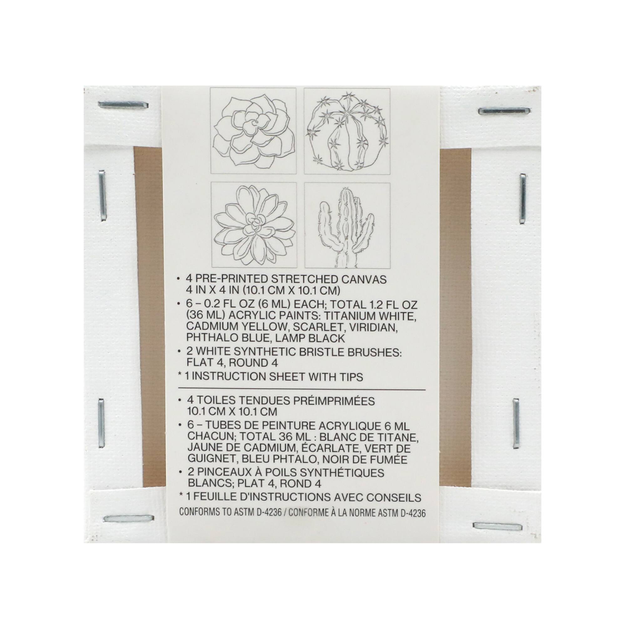 Cactus Mini Canvas Painting Kit by Craft Smart®